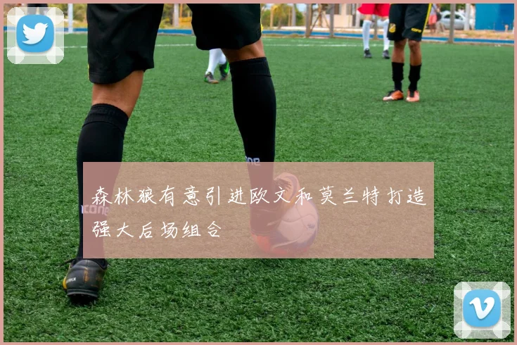 森林狼有意引进欧文和莫兰特打造强大后场组合