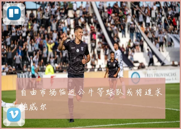 自由市场临近公牛等球队或将追求鲍威尔