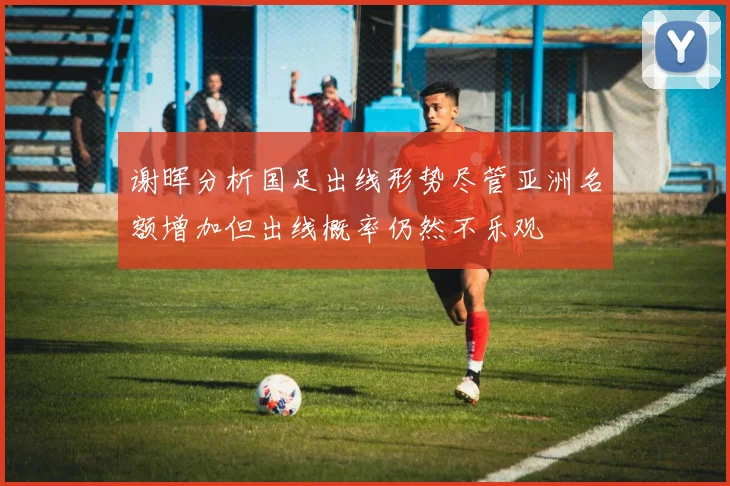 谢晖分析国足出线形势尽管亚洲名额增加但出线概率仍然不乐观