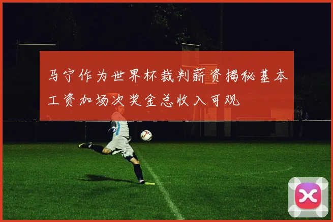 马宁作为世界杯裁判薪资揭秘基本工资加场次奖金总收入可观